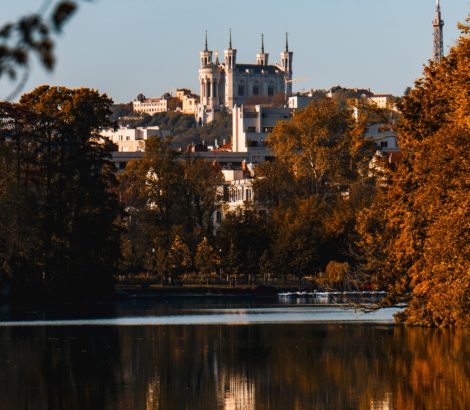 Madagence - Agence de Lyon